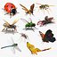 Flying Insects Rigged Collection 5 for Cinema 4D