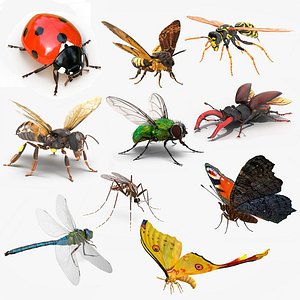 Flying Insects Rigged Collection 5 for Cinema 4D
