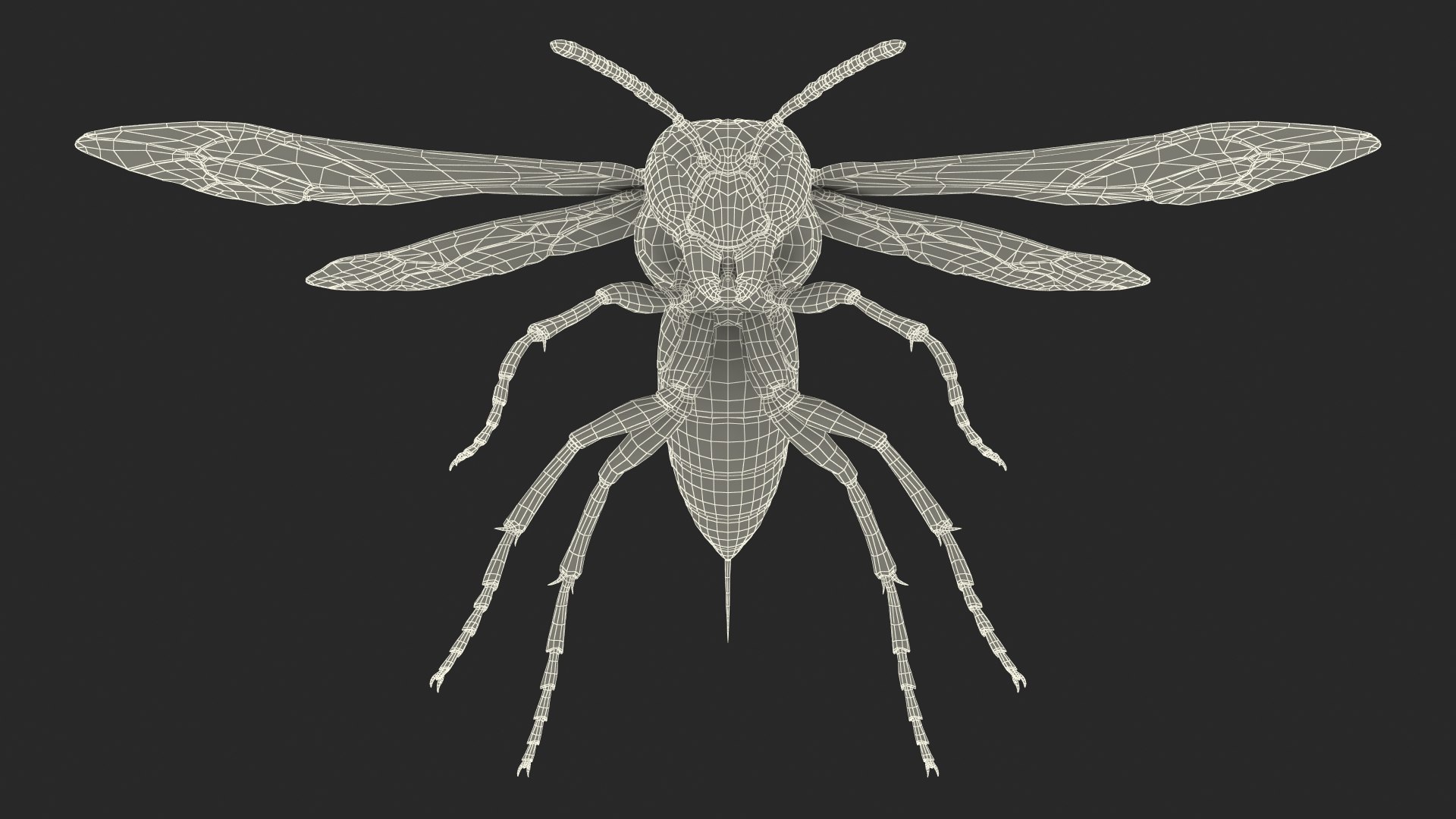 3D Flying Insects Rigged Collection 5 for Cinema 4D model https://p.turbosquid.com/ts-thumb/rq/siOJZ9/Fa/rigged_flying_insects_collection_5_for_cinema_4d_060/jpg/1768549906/1920x1080/fit_q87/a4fb7335714ebf5478903025c1b000bd72b34df4/rigged_flying_insects_collection_5_for_cinema_4d_060.jpg