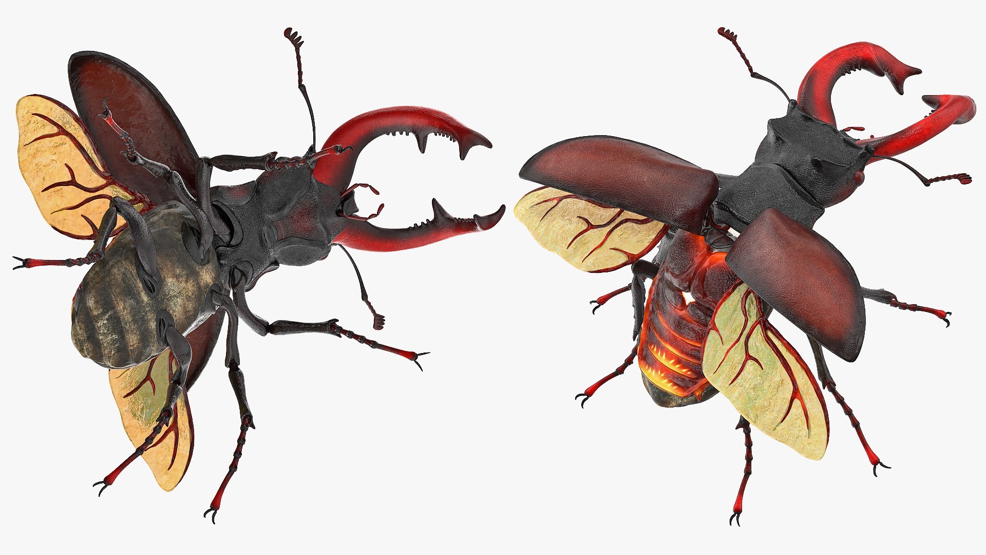 3D Flying Insects Rigged Collection 5 for Cinema 4D model https://p.turbosquid.com/ts-thumb/rq/siOJZ9/fJ/rigged_flying_insects_collection_5_for_cinema_4d_009/jpg/1768549880/1920x1080/fit_q87/7281a36615ea2e53764f1815413e51c47a1c24a4/rigged_flying_insects_collection_5_for_cinema_4d_009.jpg