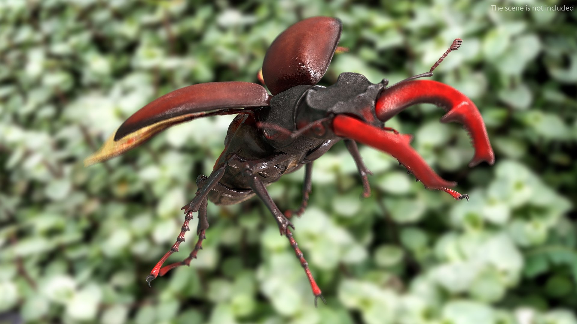 3D Flying Insects Rigged Collection 5 for Cinema 4D model https://p.turbosquid.com/ts-thumb/rq/siOJZ9/ta/rigged_flying_insects_collection_5_for_cinema_4d_002/jpg/1768549875/1920x1080/fit_q87/6feb26061ad81fb5e78c83b7a1b22c672465b7a5/rigged_flying_insects_collection_5_for_cinema_4d_002.jpg