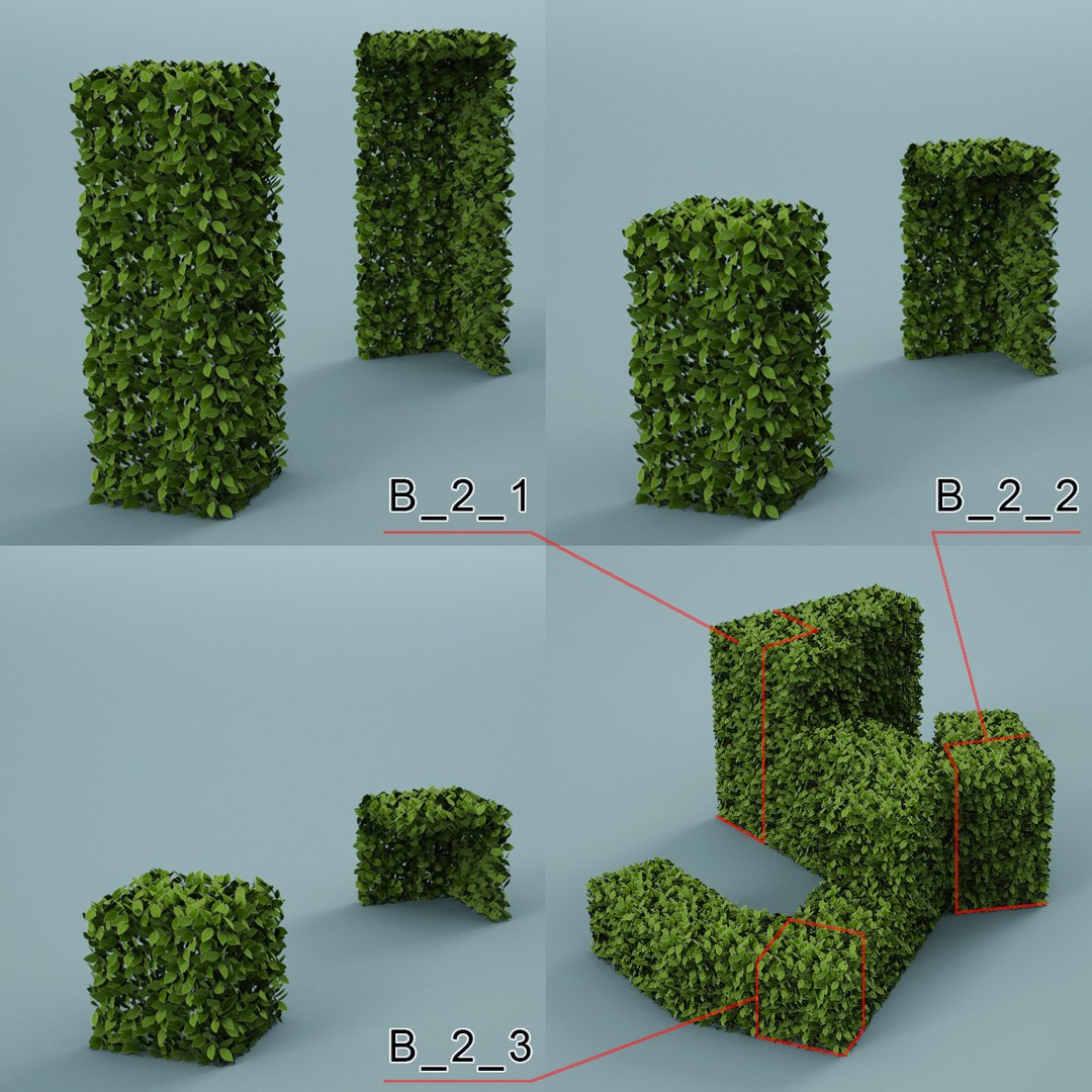 Garden Bush 3d Model