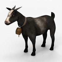 goat5