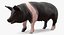 Animaux de la ferme Big Collection 2