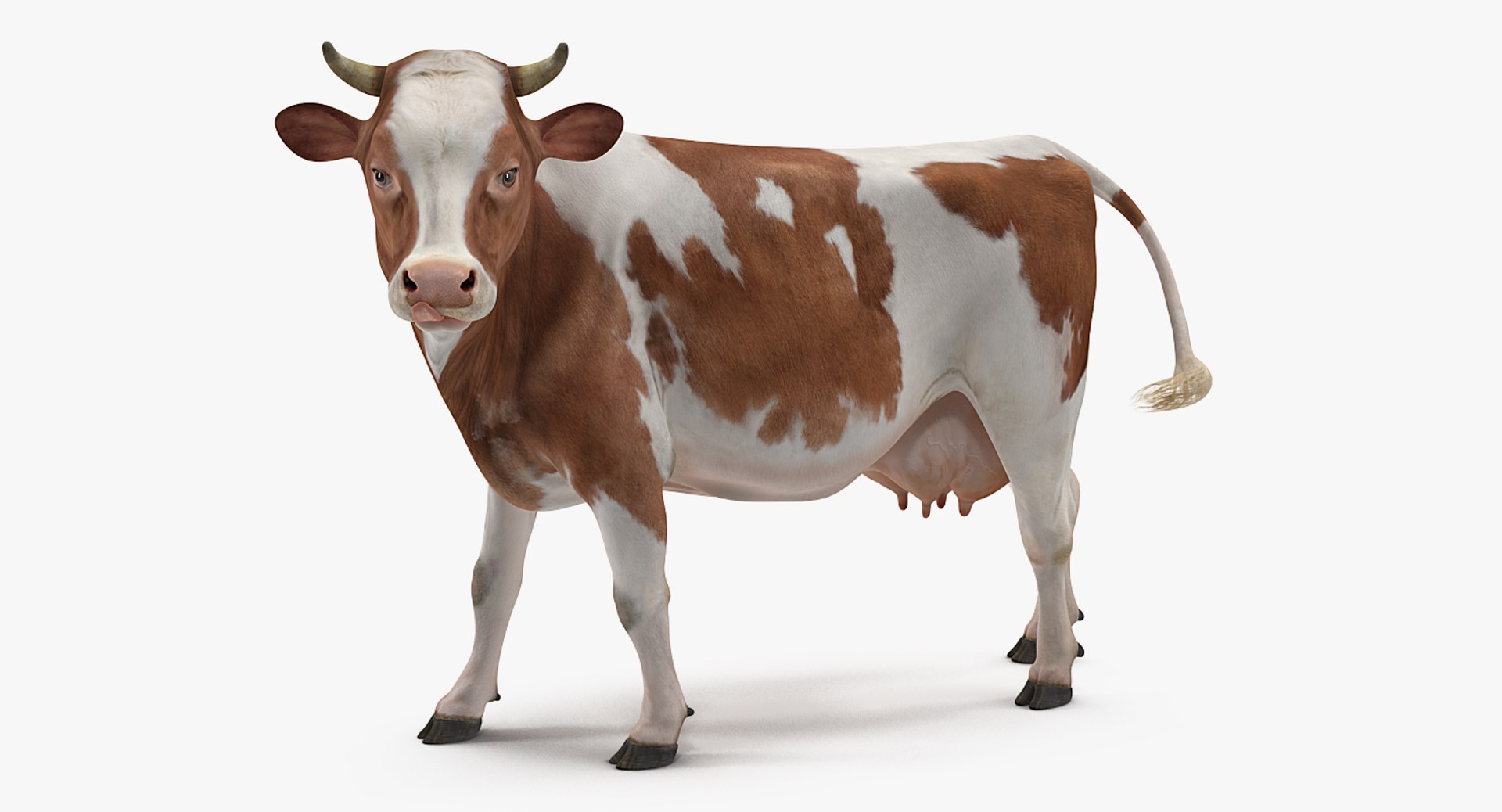 3D model farm animals big 2 https://p.turbosquid.com/ts-thumb/rr/JJdpKW/7tUqZTv8/farmanimalsbigcollection23dmodel037/jpg/1576960488/1920x1080/fit_q87/3f86395e8edd70724ab0925c1a14ce1e9ad312a8/farmanimalsbigcollection23dmodel037.jpg