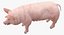 Animaux de la ferme Big Collection 2