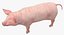 Animaux de la ferme Big Collection 2