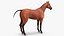 Animaux de la ferme Big Collection 2