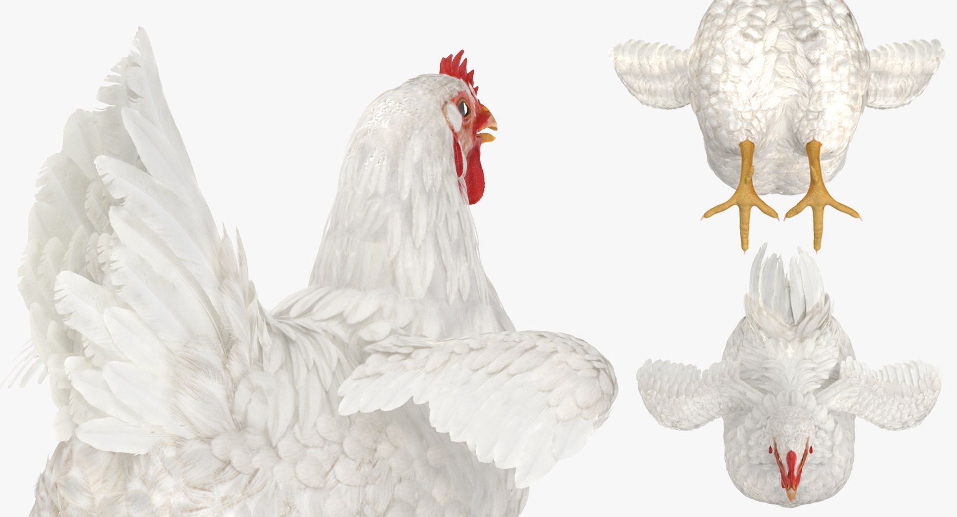3D model farm animals big 2 https://p.turbosquid.com/ts-thumb/rr/JJdpKW/CI3MmiHa/farmanimalsbigcollection23dmodel065/jpg/1576960617/1920x1080/fit_q87/fe112244960e102f77d81b01061e25fe58c021f4/farmanimalsbigcollection23dmodel065.jpg