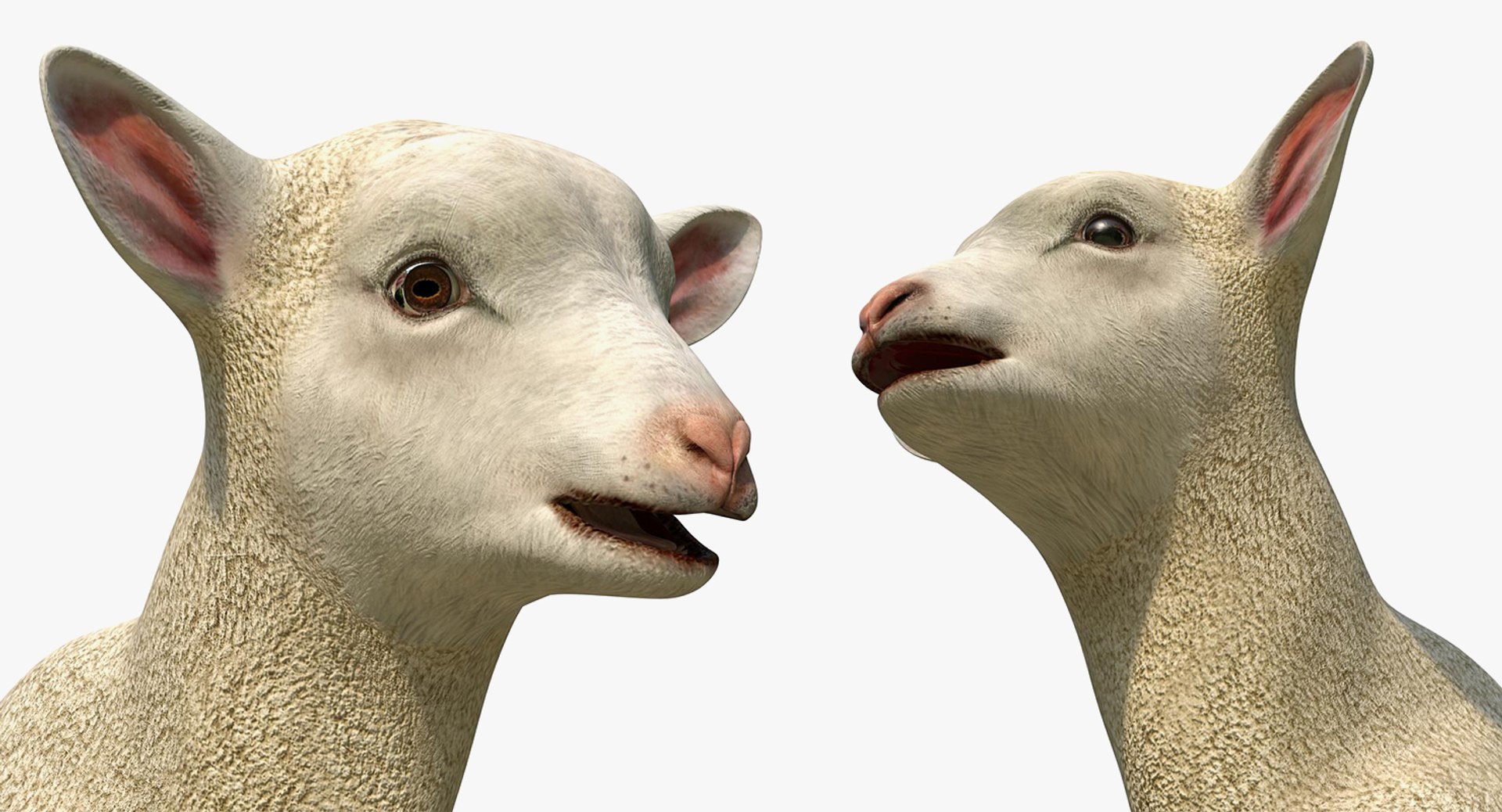 3D model farm animals big 2 https://p.turbosquid.com/ts-thumb/rr/JJdpKW/F7DeIaEa/farmanimalsbigcollection23dmodel082/jpg/1576960697/1920x1080/fit_q87/1417cec8ef77066263affdb3160053b4480145cb/farmanimalsbigcollection23dmodel082.jpg