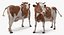 Animaux de la ferme Big Collection 2