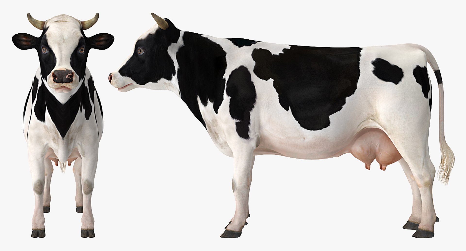 3D model farm animals big 2 https://p.turbosquid.com/ts-thumb/rr/JJdpKW/IVEcpK7c/farmanimalsbigcollection23dmodel044/jpg/1576960521/1920x1080/fit_q87/4a394350c5c77ef4fedab2e3cad5300dcac7ad9e/farmanimalsbigcollection23dmodel044.jpg