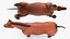 Animaux de la ferme Big Collection 2