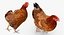 Animaux de la ferme Big Collection 2