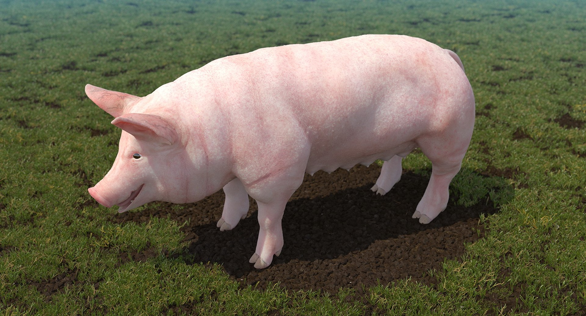 3D model farm animals big 2 https://p.turbosquid.com/ts-thumb/rr/JJdpKW/KF70uFmx/farmanimalsbigcollection23dmodel013/jpg/1576960379/1920x1080/fit_q87/b0001e8d5e6eb1e7077988b2c5fd47a916791e7f/farmanimalsbigcollection23dmodel013.jpg