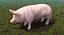 Animaux de la ferme Big Collection 2