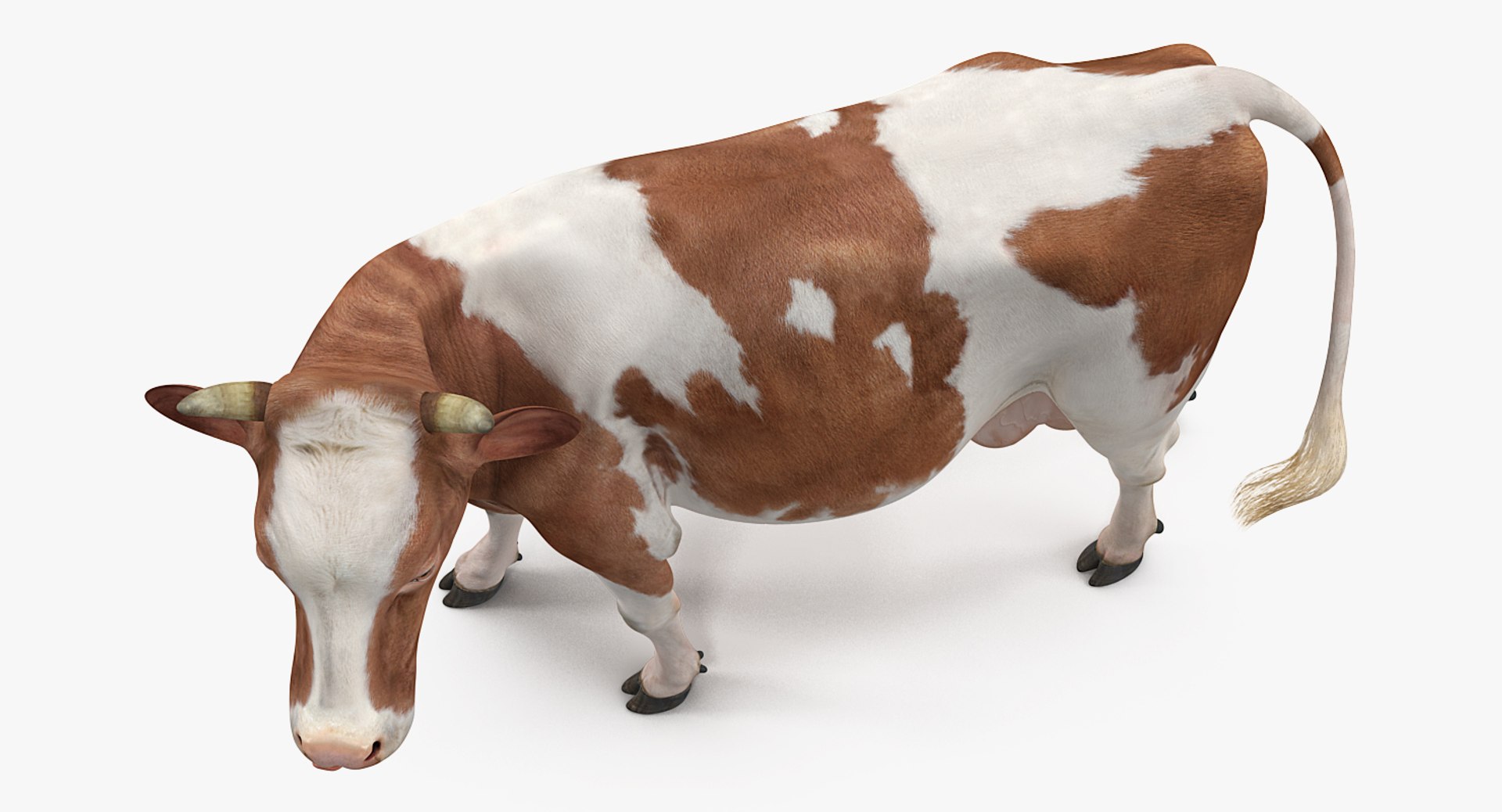 3D model farm animals big 2 https://p.turbosquid.com/ts-thumb/rr/JJdpKW/KJGAIcXs/farmanimalsbigcollection23dmodel038/jpg/1576960492/1920x1080/fit_q87/5ea0492929841c2ea635d171cfd7089d3aac7010/farmanimalsbigcollection23dmodel038.jpg
