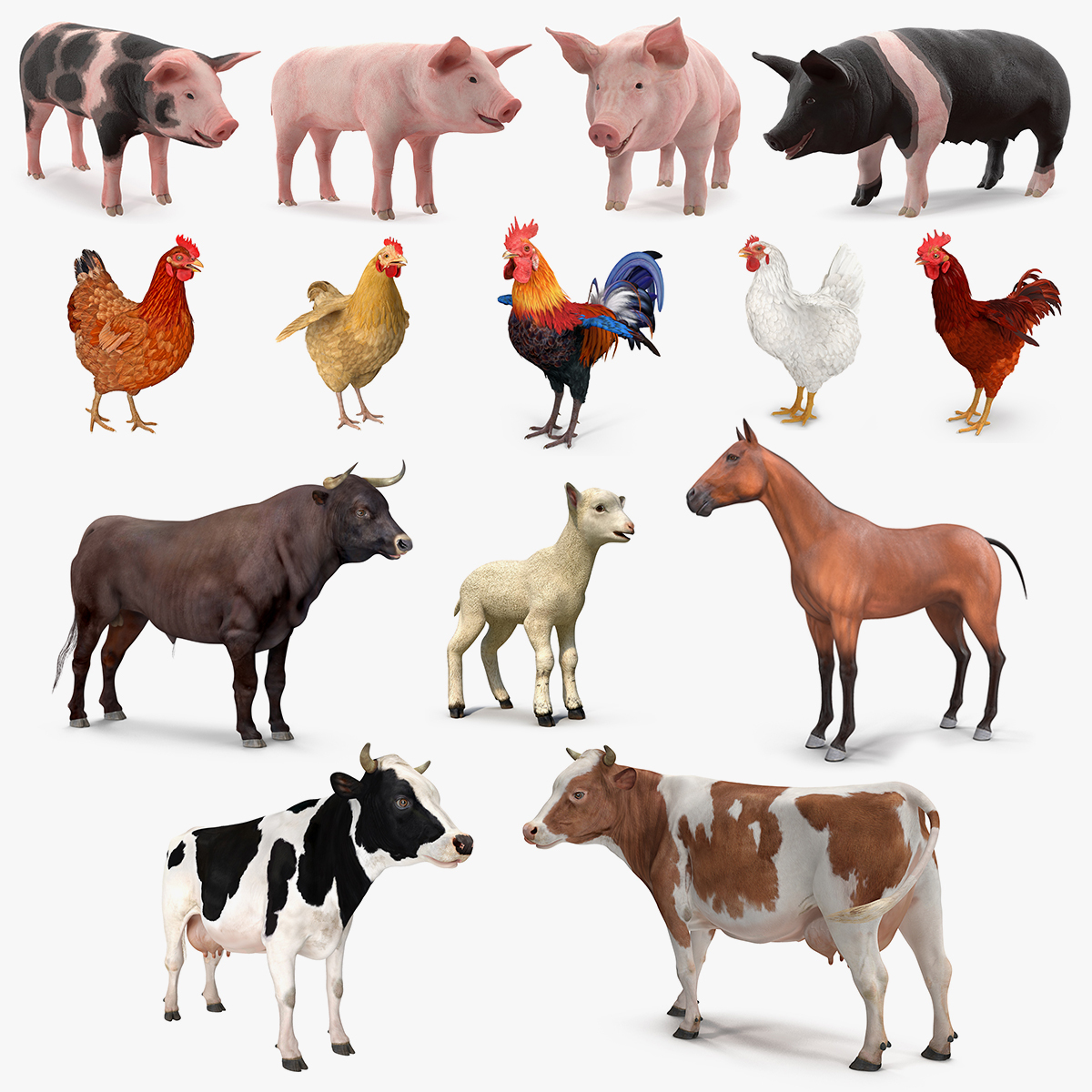 3D model farm animals big 2 TurboSquid 1485657