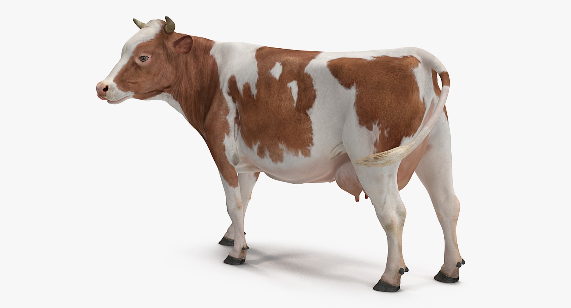 3D model farm animals big 2 https://p.turbosquid.com/ts-thumb/rr/JJdpKW/U8dfTCtU/farmanimalsbigcollection23dmodel036/jpg/1576960483/1920x1080/fit_q87/e7550ebe6ba3ba07322c26c1a36088b65c8b9e4a/farmanimalsbigcollection23dmodel036.jpg