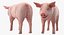 Animaux de la ferme Big Collection 2