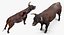 Animaux de la ferme Big Collection 2
