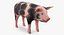 Animaux de la ferme Big Collection 2