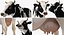 Animaux de la ferme Big Collection 2