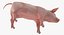 Animaux de la ferme Big Collection 2