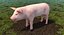 Animaux de la ferme Big Collection 2