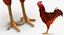 Animaux de la ferme Big Collection 2