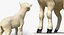 Animaux de la ferme Big Collection 2