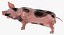 Animaux de la ferme Big Collection 2