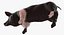 Animaux de la ferme Big Collection 2