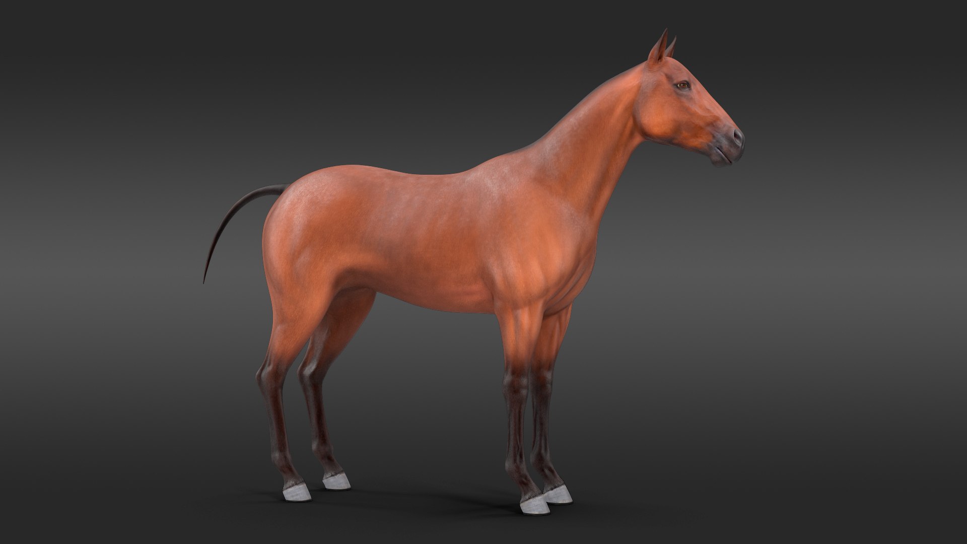3D model farm animals big 2 https://p.turbosquid.com/ts-thumb/rr/JJdpKW/m59aoxR5/farmanimalsbigcollection23dmodel005/jpg/1576960342/1920x1080/fit_q87/11ff20b849afcde4aad6f8579ec23b79b141ed5b/farmanimalsbigcollection23dmodel005.jpg