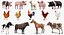 Animaux de la ferme Big Collection 2