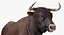 Animaux de la ferme Big Collection 2