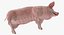 Animaux de la ferme Big Collection 2
