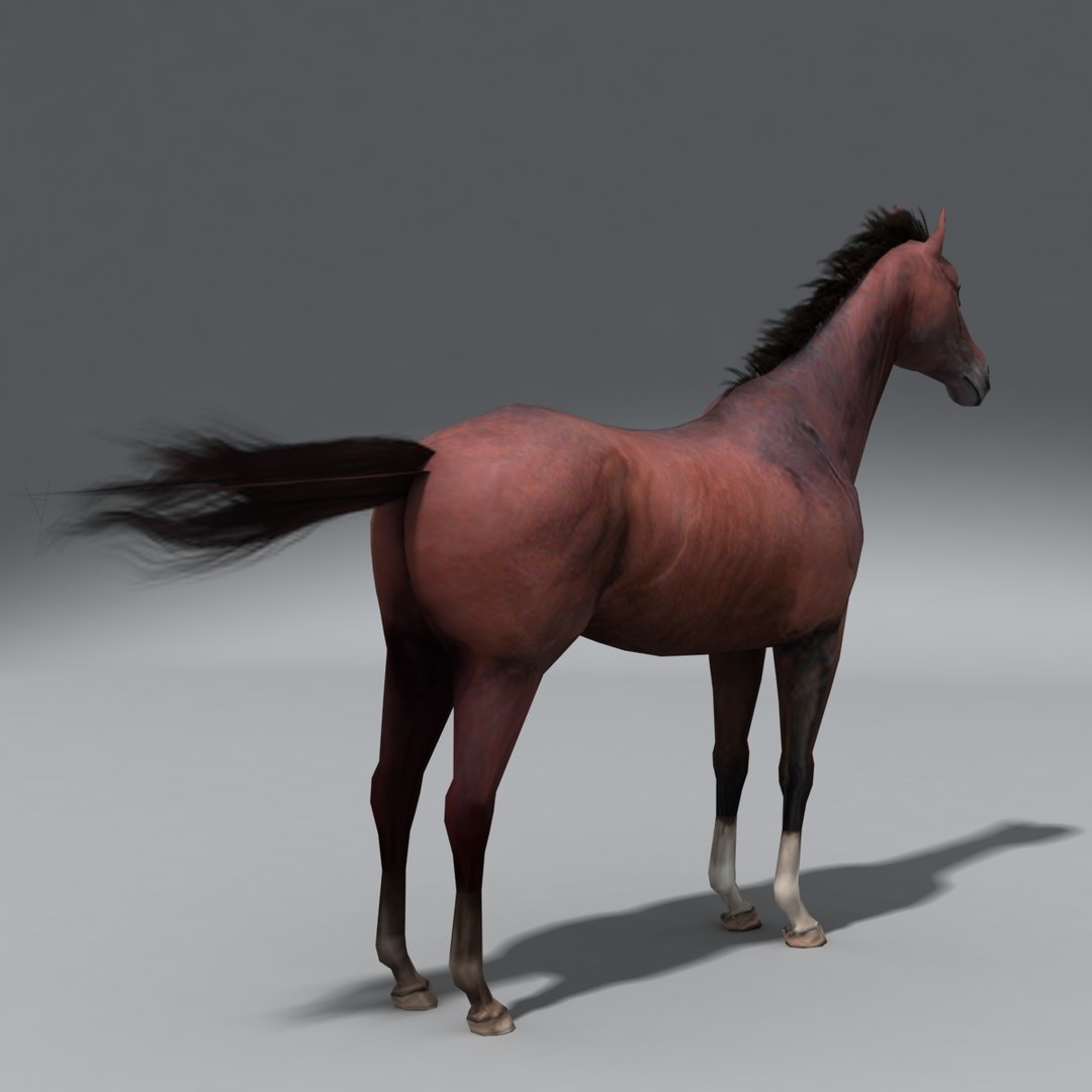 3D model horse - TurboSquid 514831
