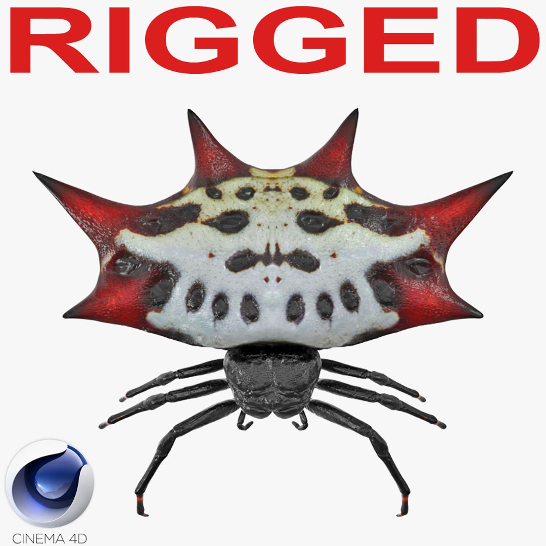 fabtcg Orb-Weaver Spinneret SCGプロモ3枚セット fabtcg Orb-Weaver Spinneret SCGプロモ3枚セット Orb-Weaver