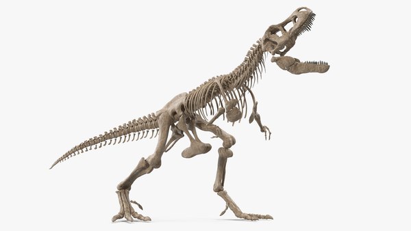 Esqueleto T-rex Modelo 3d