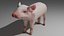 3D Pig OBJ model