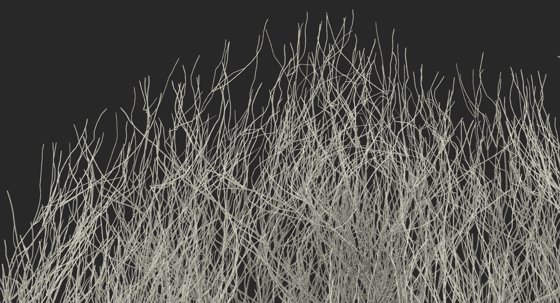desert tumbleweed tumbled 3D https://p.turbosquid.com/ts-thumb/rs/1anIur/1WjQowkm/deserttumbleweed3dsmodel015/jpg/1555466359/1920x1080/fit_q87/9594fa556b0425ab7036166271c2299a957b97d7/deserttumbleweed3dsmodel015.jpg