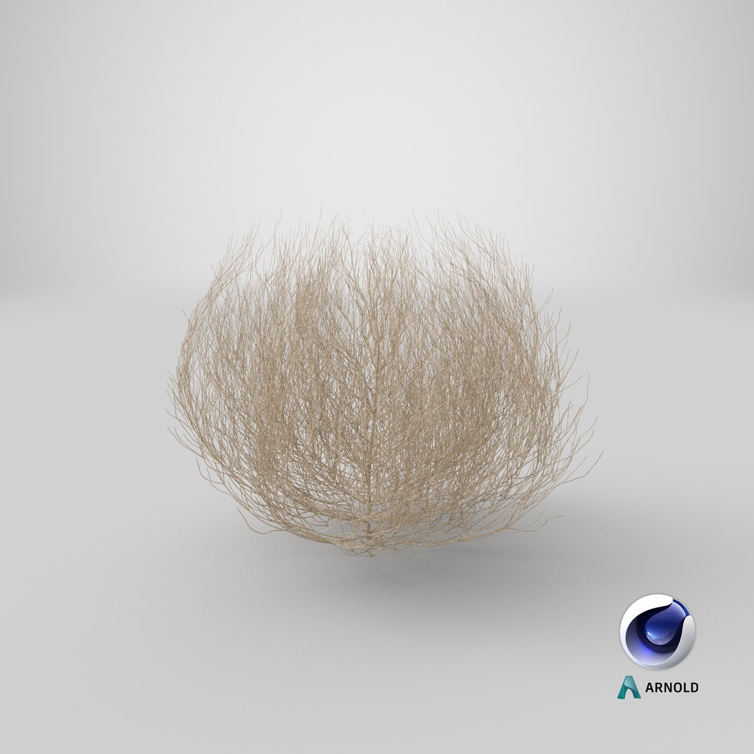 desert tumbleweed tumbled 3D https://p.turbosquid.com/ts-thumb/rs/1anIur/8GN8TBGO/stemcell_cinema_4d_arnold_render/png/1577199377/1920x1080/fit_q87/1db2cc946f4c33c903ca014f98feffb7d3ab44de/stemcell_cinema_4d_arnold_render.jpg