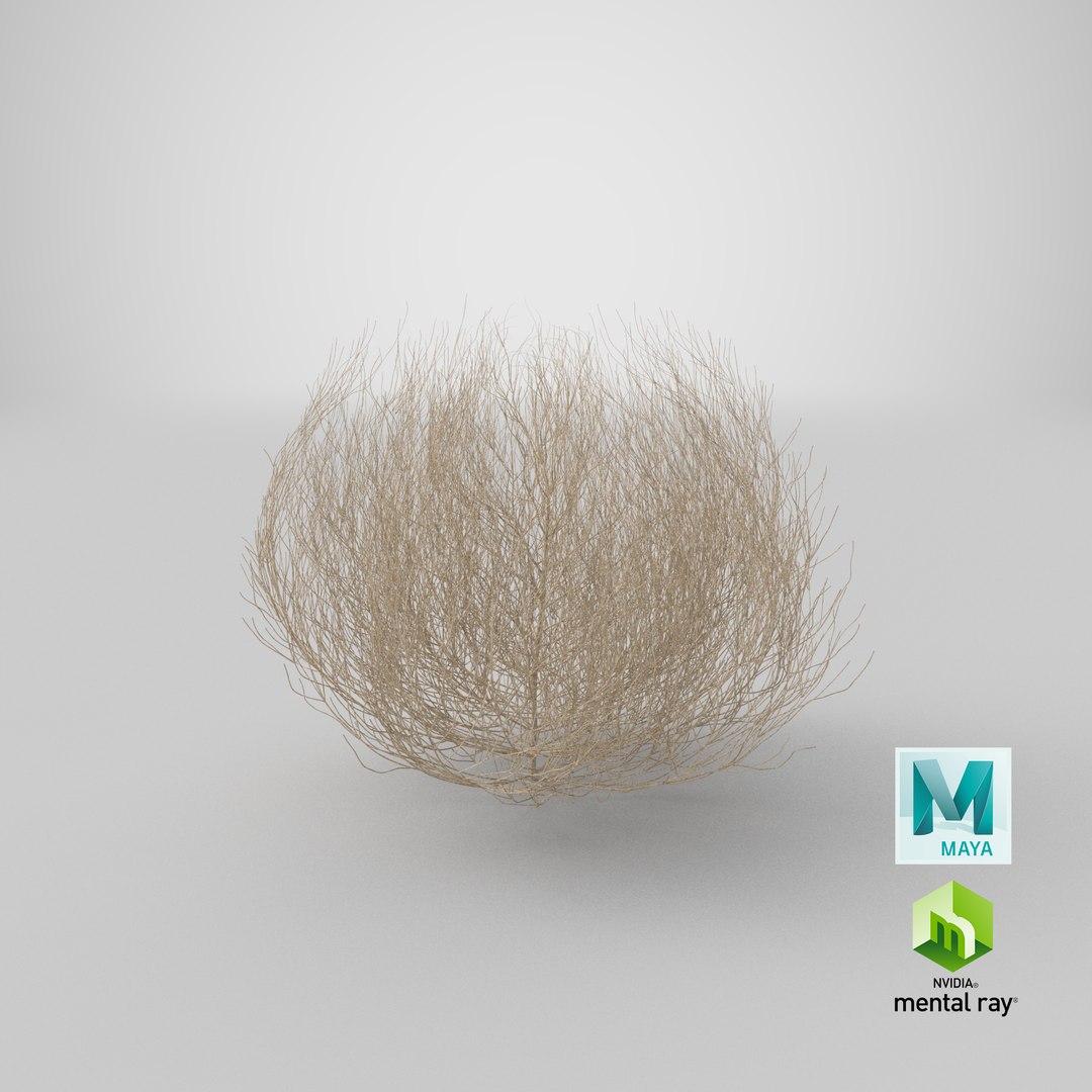 desert tumbleweed tumbled 3D https://p.turbosquid.com/ts-thumb/rs/1anIur/LoucRaUV/stemcell_maya_mental_ray_render/png/1577199399/1920x1080/fit_q87/11eeb67c1994a4b0a0849d2095ecfa615cd5e94c/stemcell_maya_mental_ray_render.jpg