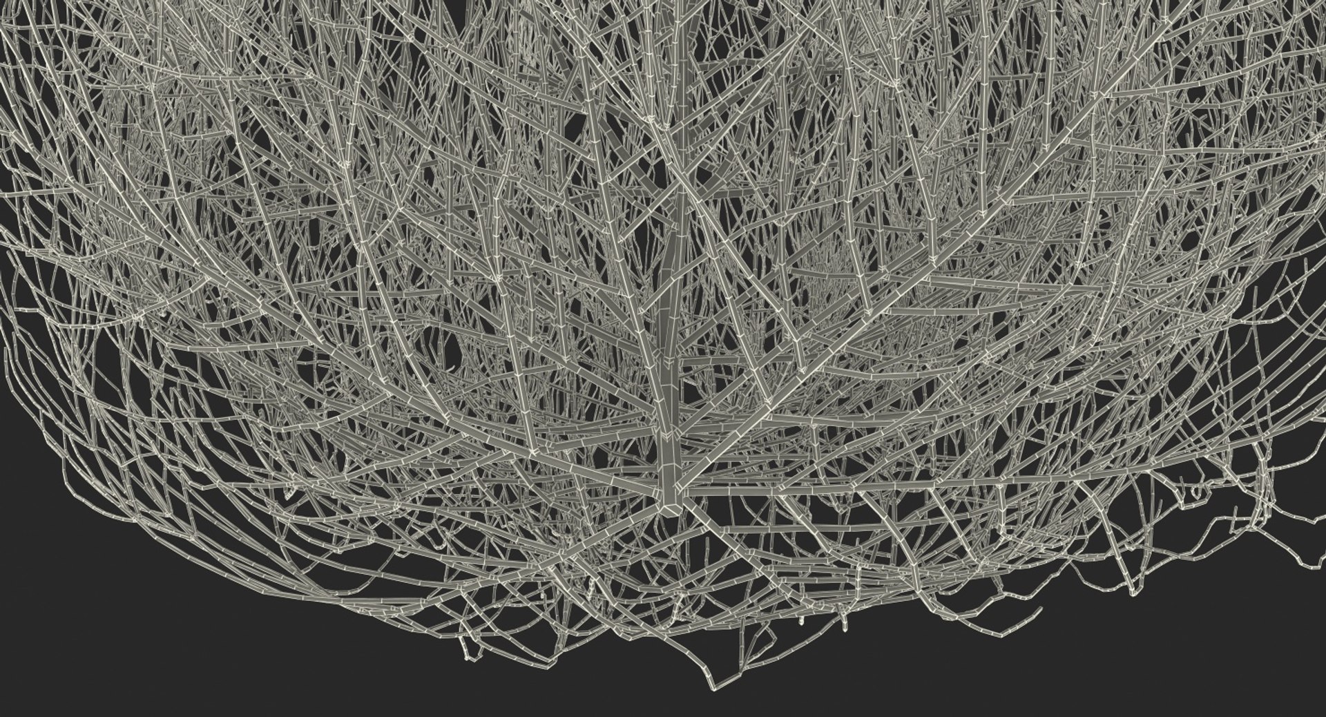 desert tumbleweed tumbled 3D https://p.turbosquid.com/ts-thumb/rs/1anIur/Sc5ePTjd/deserttumbleweed3dsmodel014/jpg/1555466356/1920x1080/fit_q87/5c2ad6288b9e97043c6432a3d1434653d00b7c87/deserttumbleweed3dsmodel014.jpg