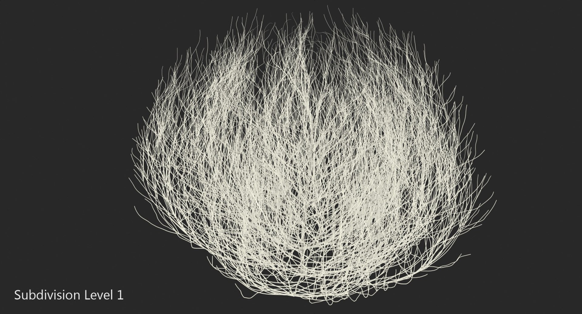 desert tumbleweed tumbled 3D https://p.turbosquid.com/ts-thumb/rs/1anIur/eWeBTmPi/deserttumbleweed3dsmodel008/jpg/1555466330/1920x1080/fit_q87/1677594c1314d515e4a9faeff02d2aab0ee68be6/deserttumbleweed3dsmodel008.jpg