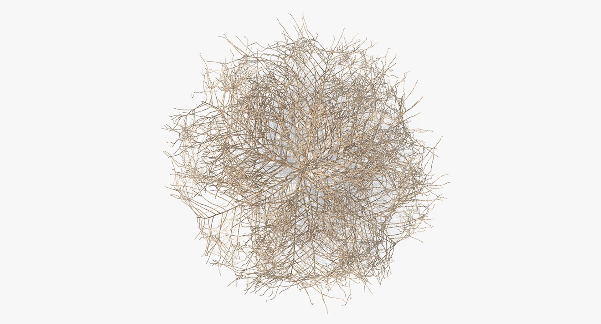desert tumbleweed tumbled 3D https://p.turbosquid.com/ts-thumb/rs/1anIur/eYp1bOKg/deserttumbleweed3dsmodel006/jpg/1555466324/1920x1080/fit_q87/1ab170912ae24d2cea6490acf1fbe3b80f73cf81/deserttumbleweed3dsmodel006.jpg
