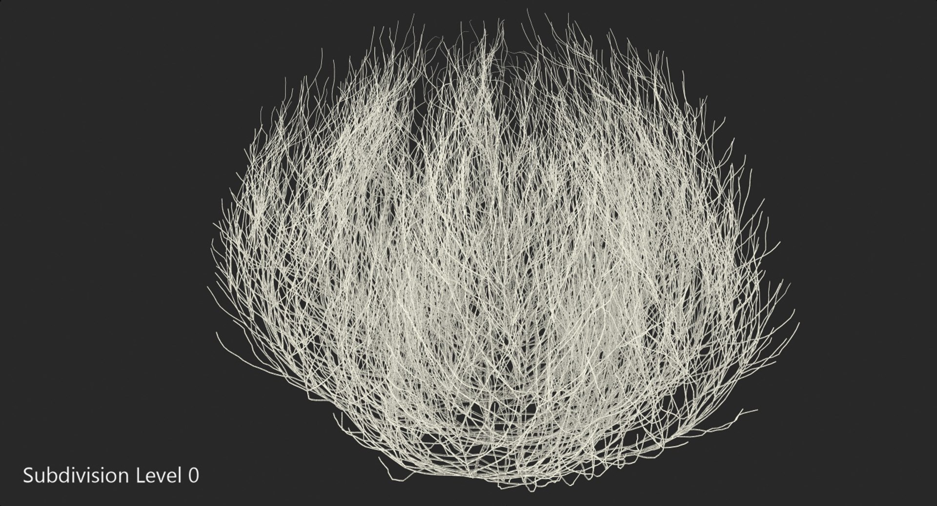 desert tumbleweed tumbled 3D https://p.turbosquid.com/ts-thumb/rs/1anIur/izhET7gG/deserttumbleweed3dsmodel007/jpg/1555466327/1920x1080/fit_q87/0092c3907b8b8ee07b9a1ffb969621b96259536a/deserttumbleweed3dsmodel007.jpg