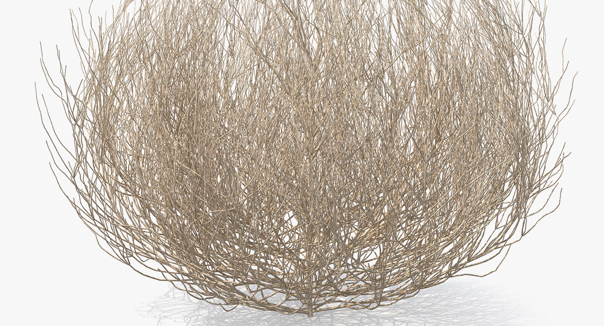 desert tumbleweed tumbled 3D https://p.turbosquid.com/ts-thumb/rs/1anIur/yoPS8EkG/deserttumbleweed3dsmodel005/jpg/1555466320/1920x1080/fit_q87/f47c1897910132c8fa9a43c0cb4f8419459d66e8/deserttumbleweed3dsmodel005.jpg