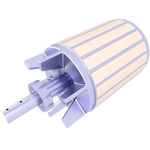 3D AC Induction Brushless Rotor 107